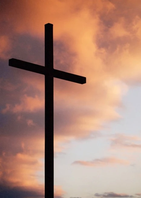 SE-f151bf23-d4b0-4428-93a1-4fa826870de5.jpg?type=w466