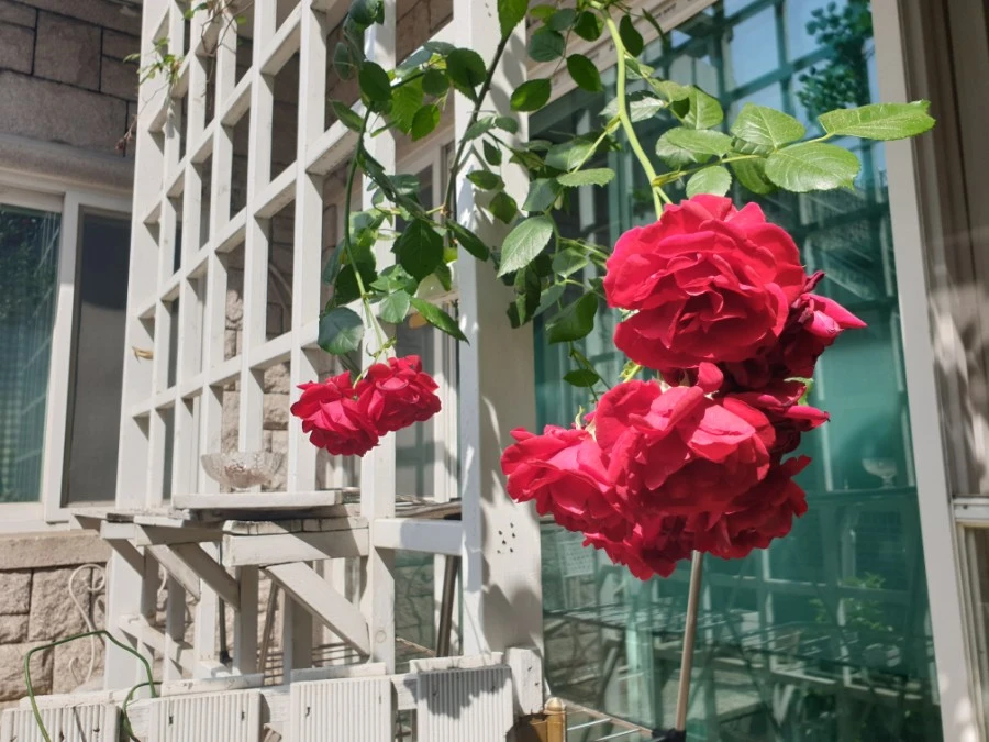 20190530_093907.jpg?type=w1