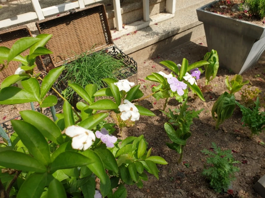 20190530_094047.jpg?type=w1