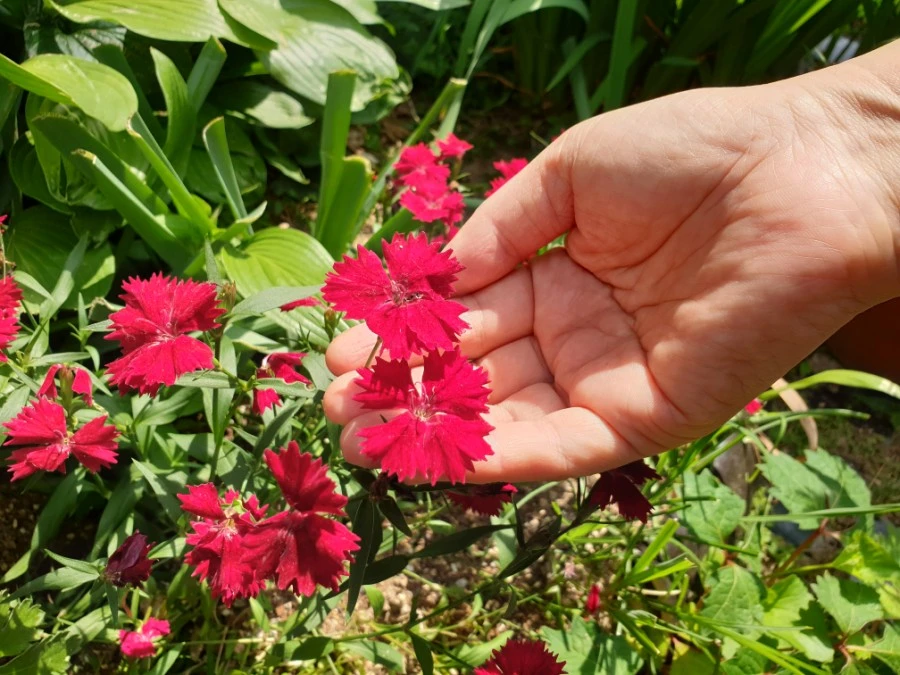 20190530_094405.jpg?type=w1