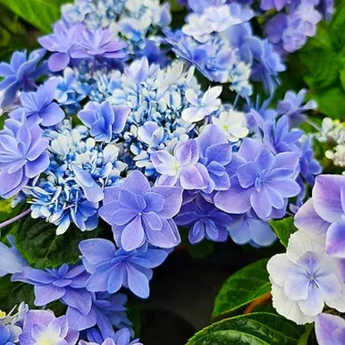 6748090418524490_696883727.jpg?type=w386