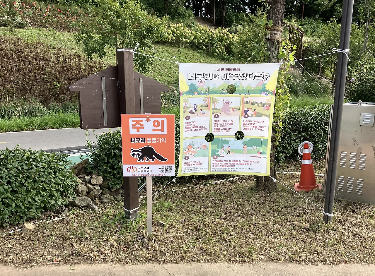 IMG_4892 - 복사본.JPG