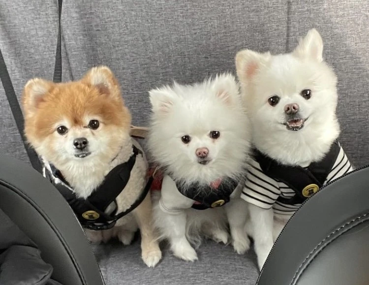 IMG_1990 - 복사본.jpeg