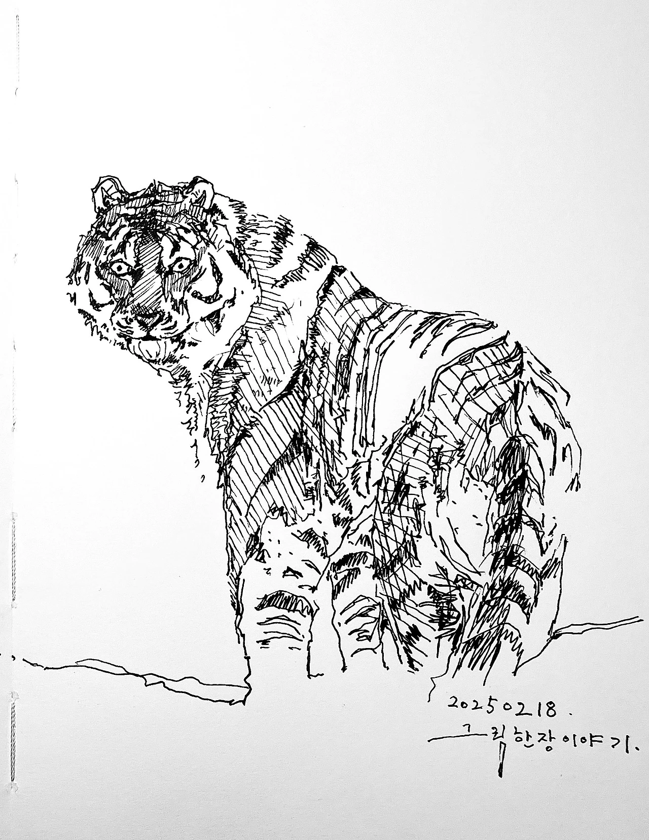 IMG_3952 - 복사본.jpeg