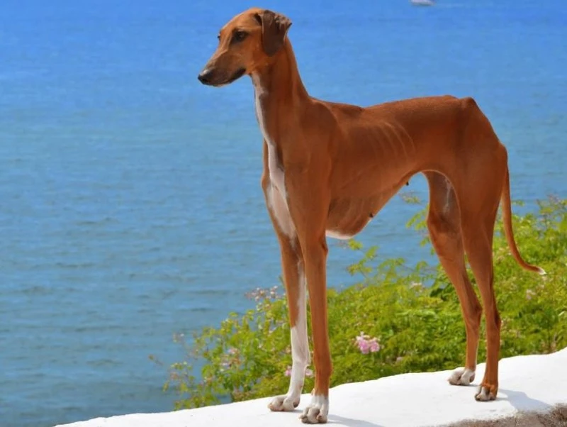 %EC%95%84%EC%9E%90%EC%99%80%ED%81%AC.jpg?type=w1