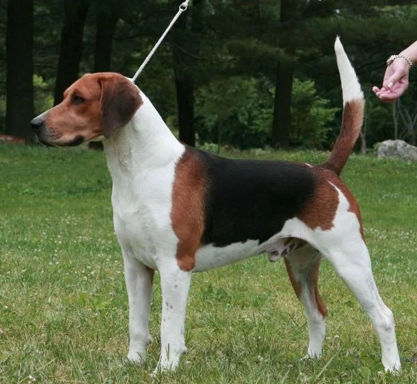 %ED%95%B4%EB%A6%AC%EC%96%B4.jpg?type=w1