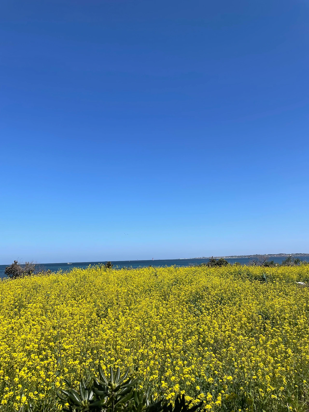 KakaoTalk_Photo_2023-04-04-11-35-33 001.jpeg