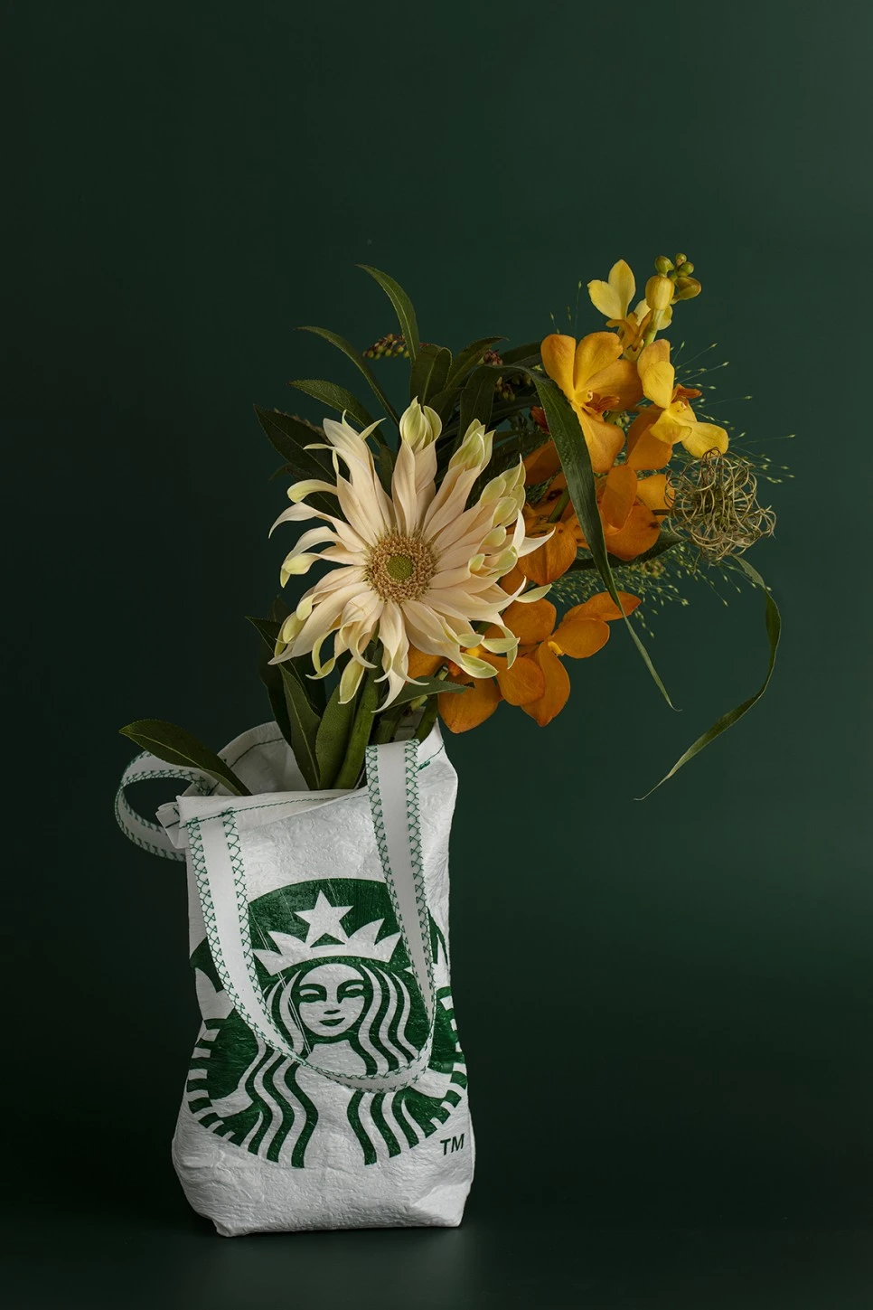 3M4A4624.jpg?type=w966