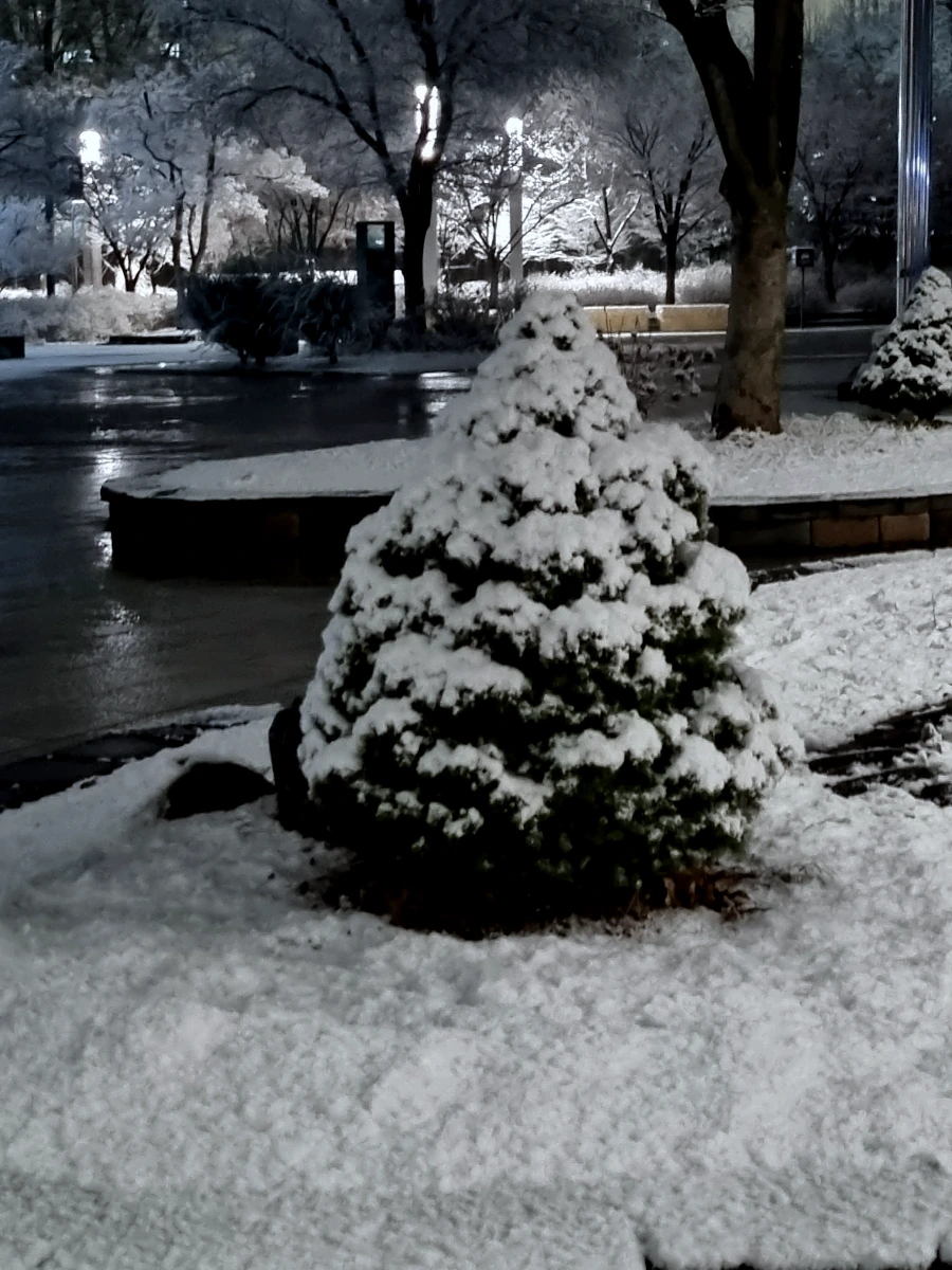 20240106%EF%BC%BF210206.jpg?type=w1