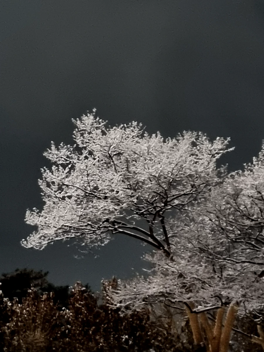 20240106%EF%BC%BF205938.jpg?type=w1