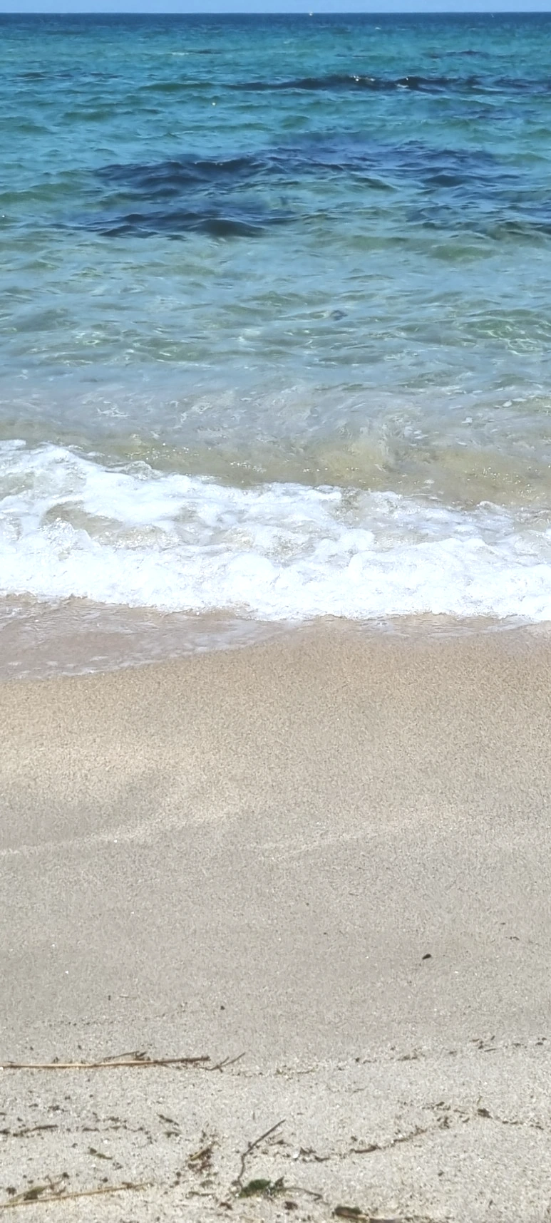 20230627%EF%BC%BF143426.jpg?type=w773