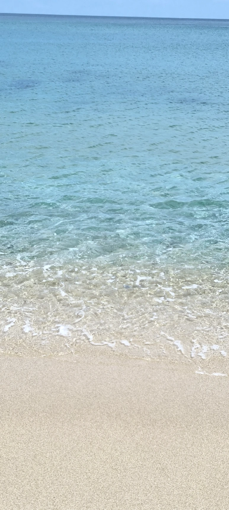 20230627%EF%BC%BF113327.jpg?type=w773