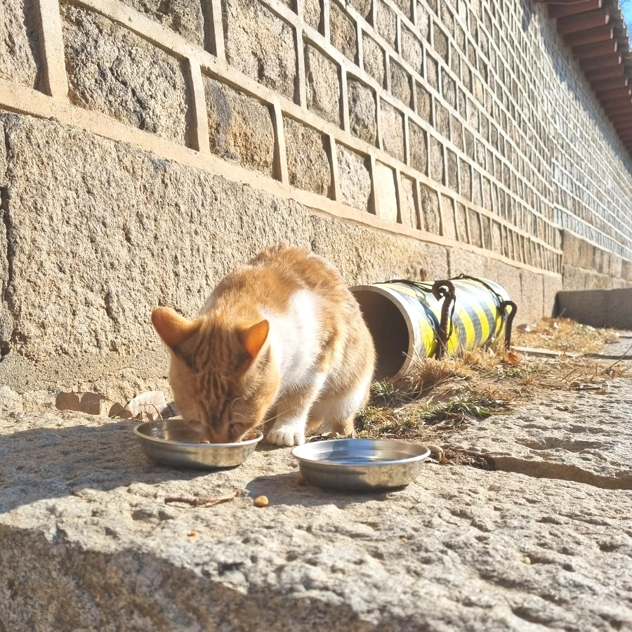 SE-0586bc2a-86fc-11ed-9be5-09ba087943fb.jpg?type=w1