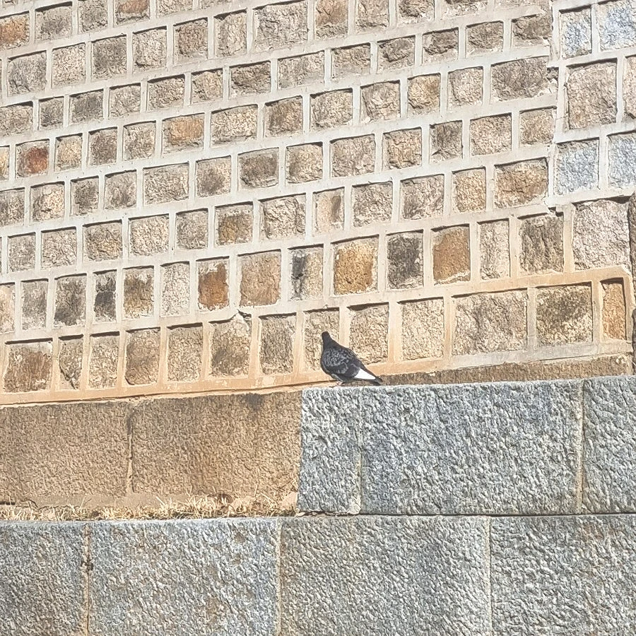 SE-0586e341-86fc-11ed-9be5-dbe3f068e51c.jpg?type=w1