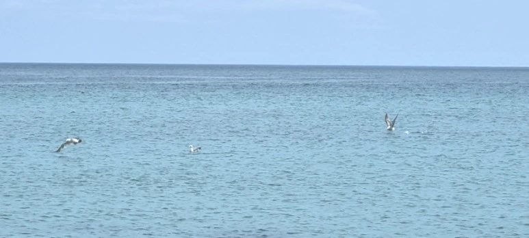 20230627%EF%BC%BF113343.jpg?type=w773