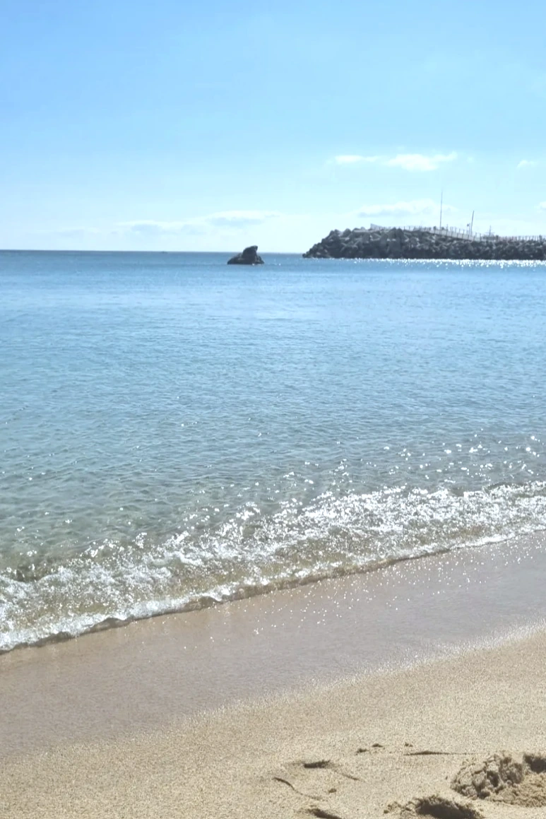 20230627%EF%BC%BF085743.jpg?type=w773