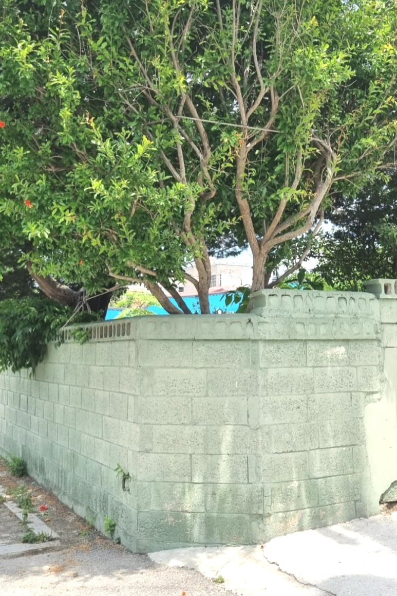 20230627%EF%BC%BF115927.jpg?type=w773