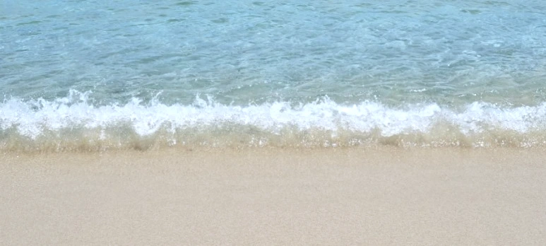 20230627%EF%BC%BF113333.jpg?type=w773