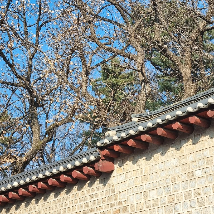 SE-05a12207-86fc-11ed-9be5-8f276eb12b35.jpg?type=w1