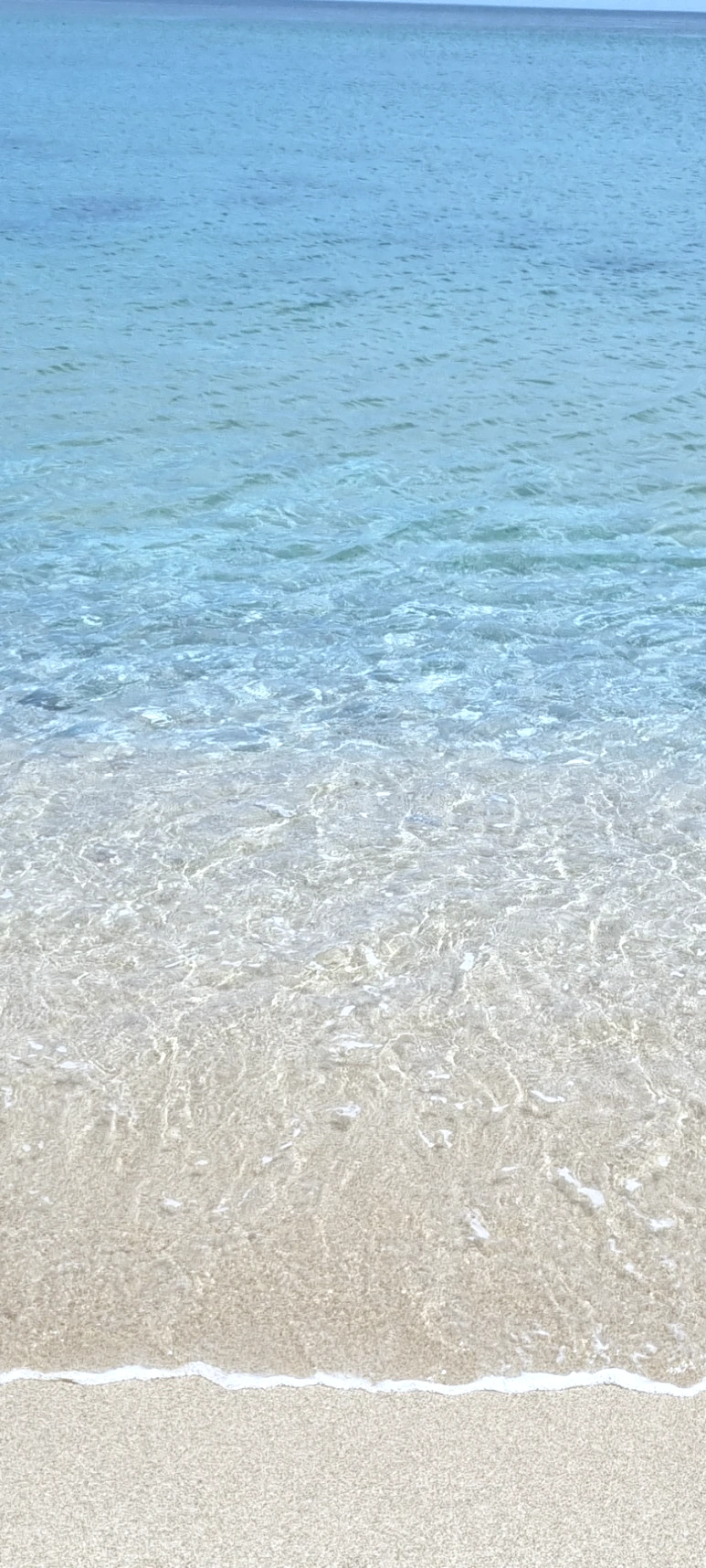 20230627%EF%BC%BF113329.jpg?type=w773