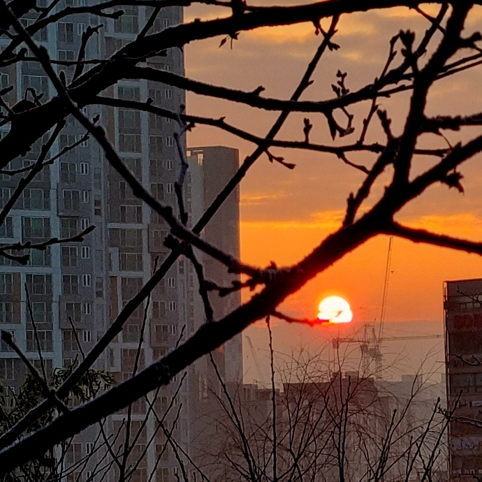 20240101%EF%BC%BF080252.jpg?type=w1