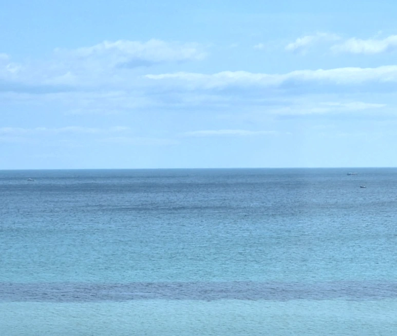 SE-ec9075f0-16eb-11ee-a60b-61ef5946a2a2.jpg?type=w773