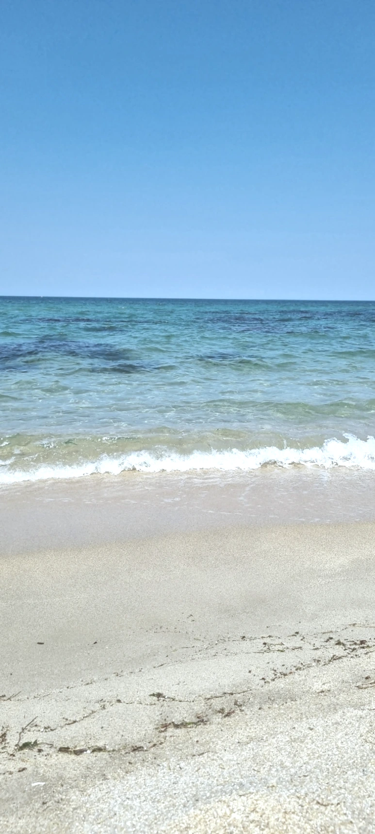 20230627%EF%BC%BF143634.jpg?type=w773