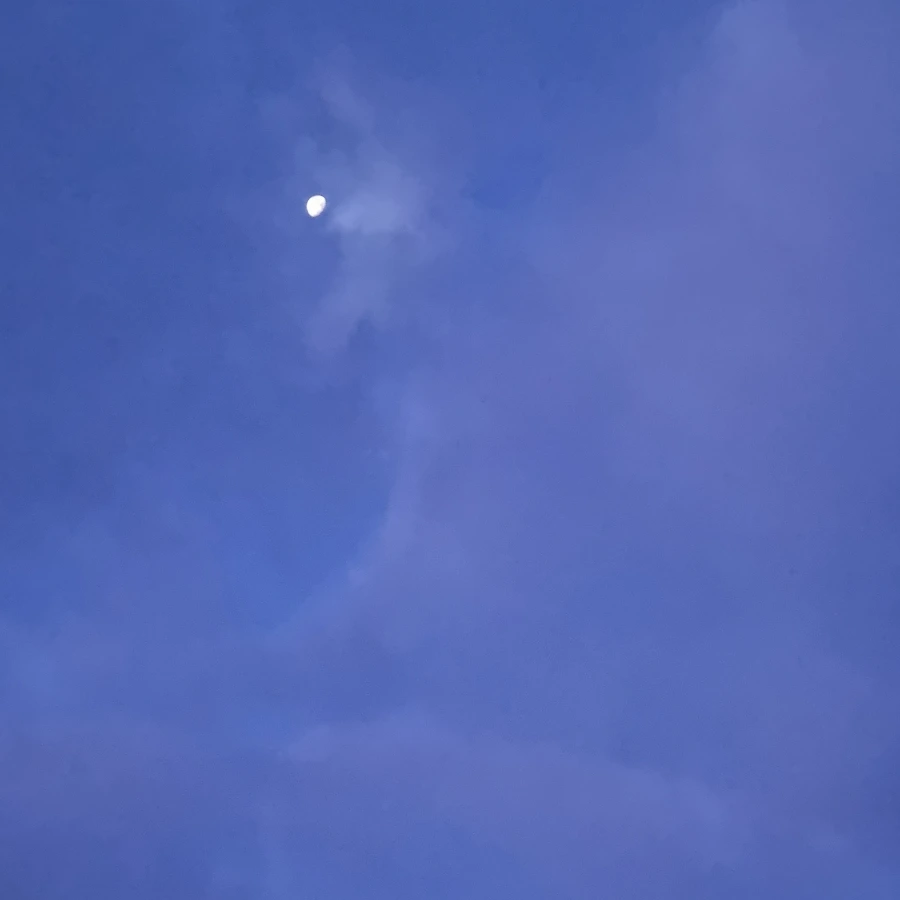 20240101%EF%BC%BF072135.jpg?type=w1