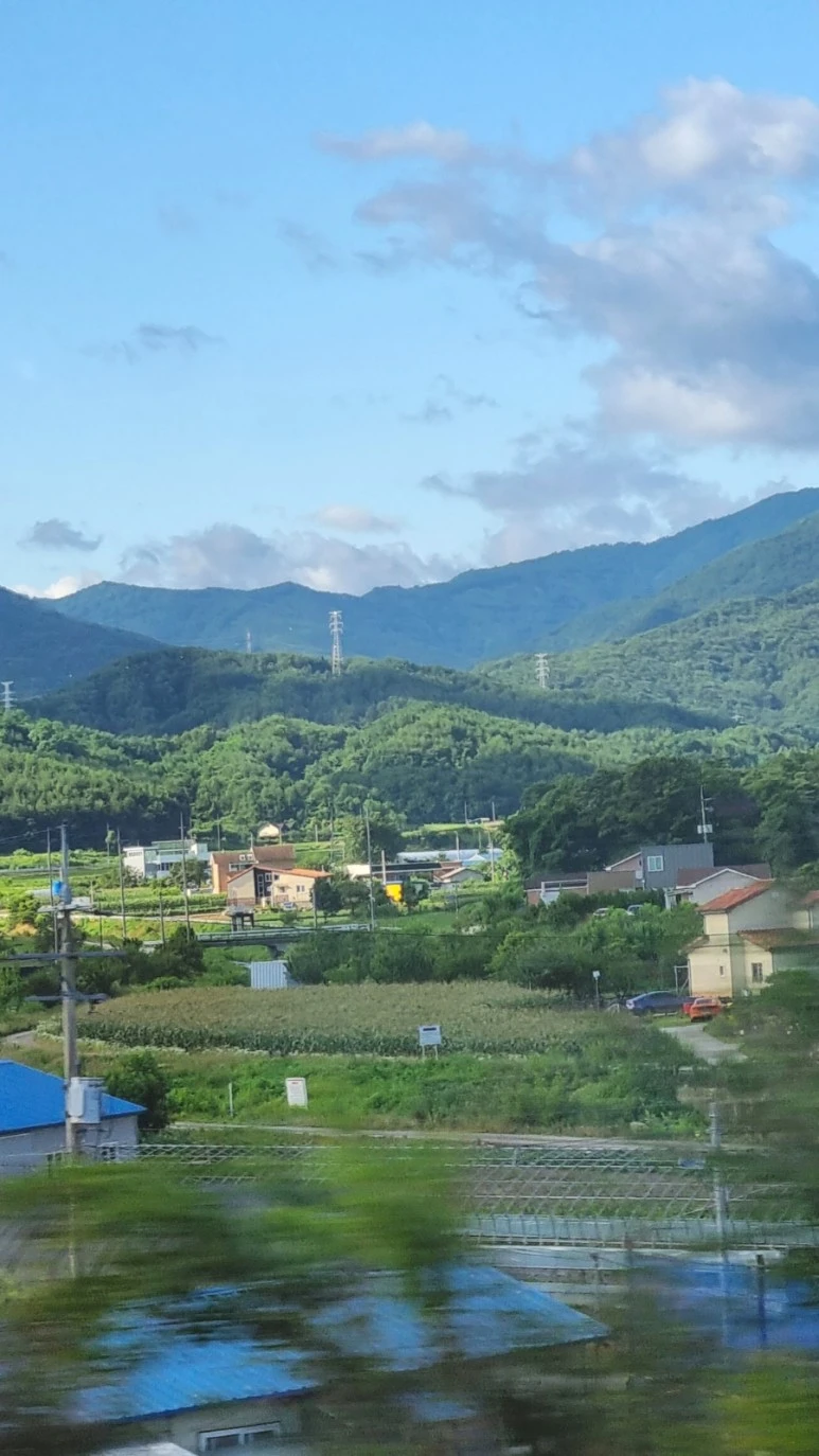 SE-d5f1b5cc-16ea-11ee-a065-0353b7e99c90.jpg?type=w773