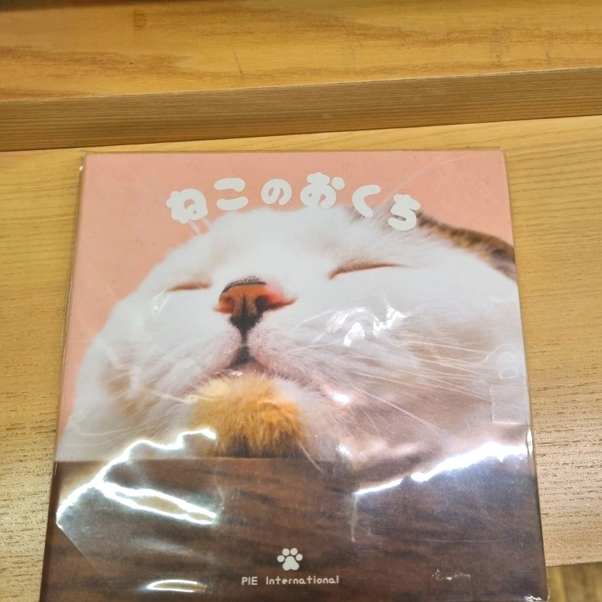 SE-05685eb4-86fc-11ed-9be5-e3333402bfe0.jpg?type=w1