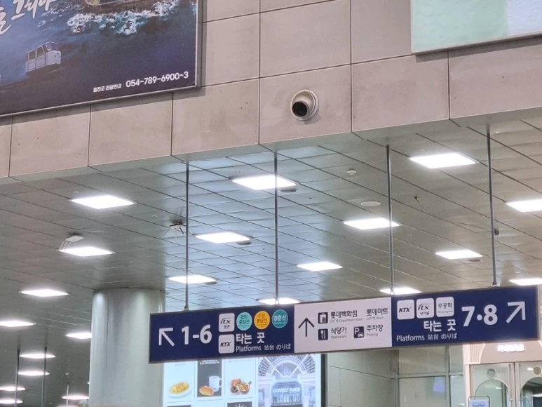 SE-d5e9ed92-16ea-11ee-a065-494b5cc5f02b.jpg?type=w773