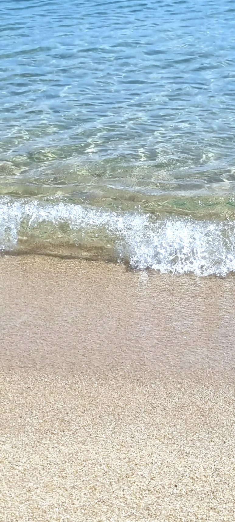 20230627%EF%BC%BF085934.jpg?type=w773