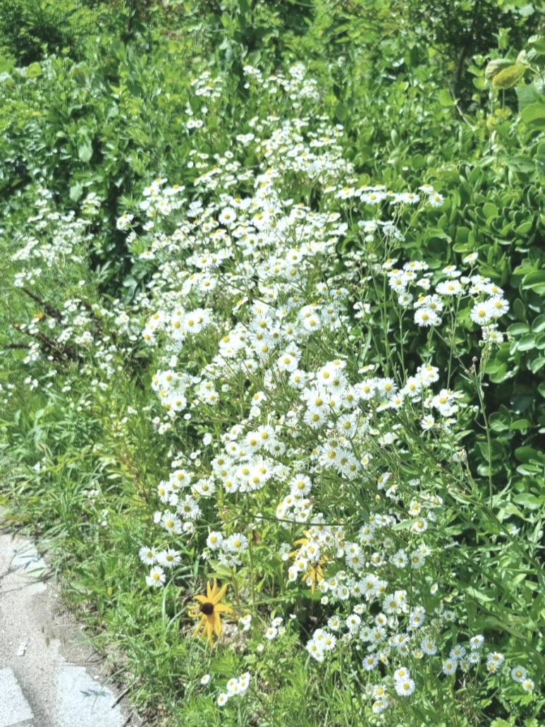 20230627%EF%BC%BF145513.jpg?type=w773