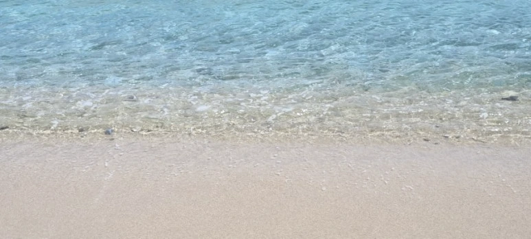 20230627%EF%BC%BF113338.jpg?type=w773