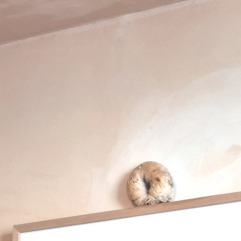 SE-e332c78e-16ed-11ee-a60b-bf362fd07e26.jpg?type=w773