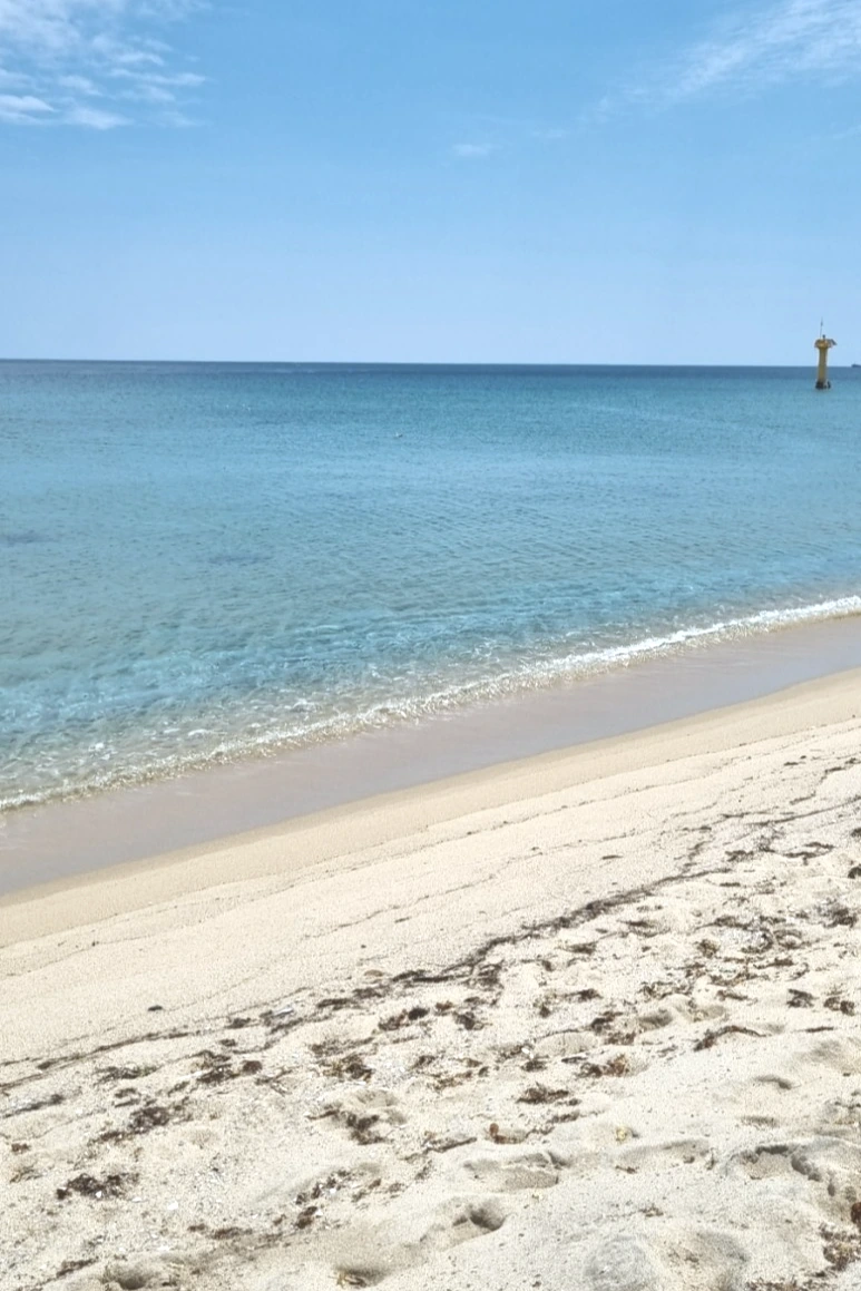 20230627%EF%BC%BF113300.jpg?type=w773