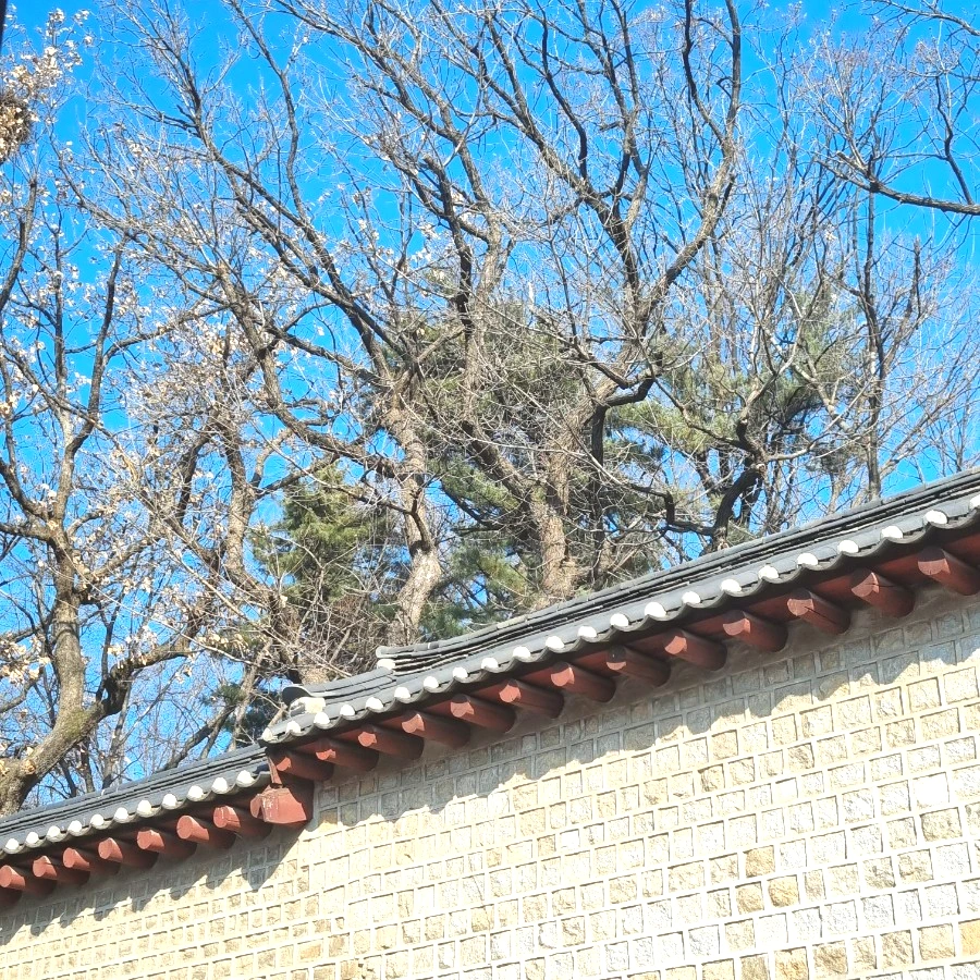 SE-0586e340-86fc-11ed-9be5-ff2d78bbbc91.jpg?type=w1