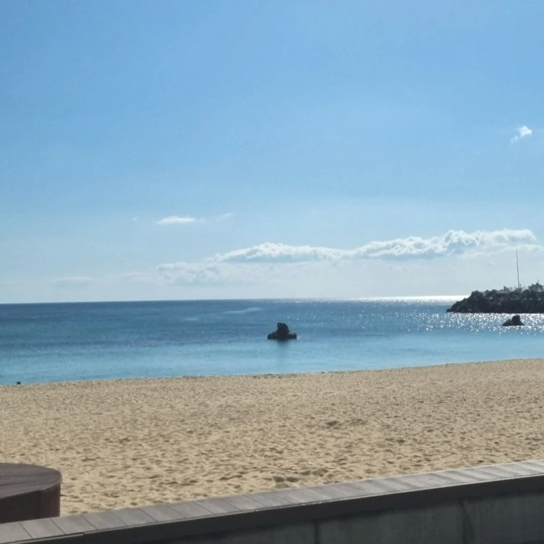 SE-016389b4-16eb-11ee-a065-cb7efc068219.jpg?type=w773