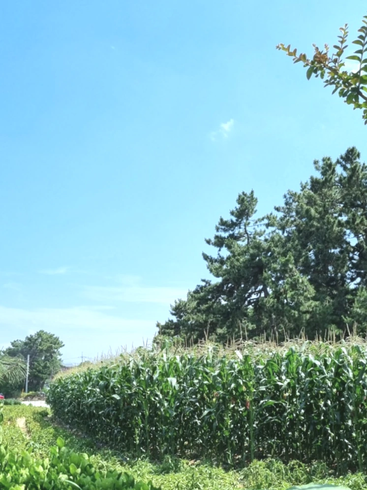 20230627%EF%BC%BF145217.jpg?type=w773