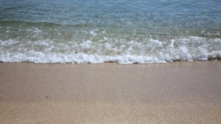 VideoCapture%EF%BC%BF20230627%EF%BC%8D100634.jpg?type=w773