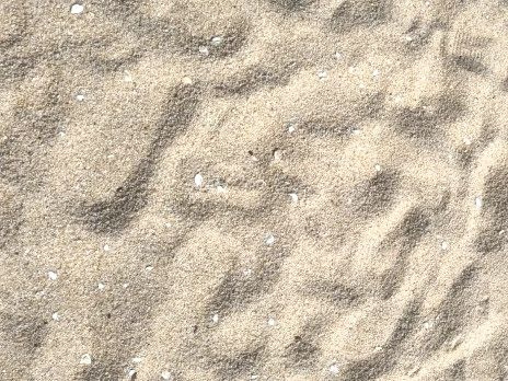 SE-016425f5-16eb-11ee-a065-e1c86dd43d97.jpg?type=w773