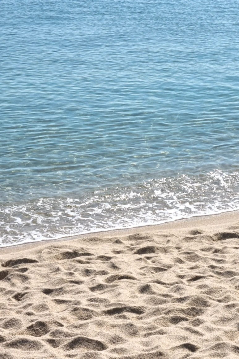 SE-01647416-16eb-11ee-a065-7f2026e028ea.jpg?type=w773