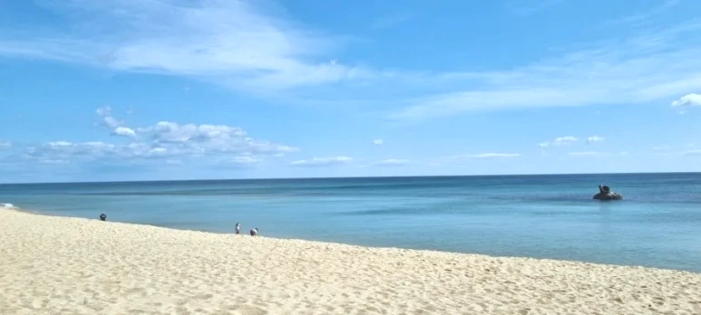 20230627%EF%BC%BF090933.jpg?type=w773