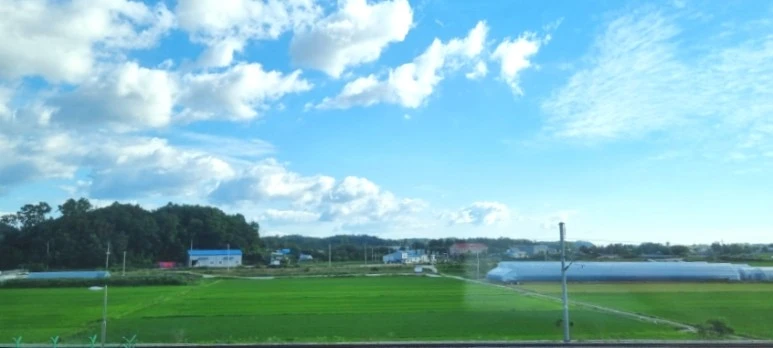 SE-d5f2791e-16ea-11ee-a065-fb12a1bfa91d.jpg?type=w773