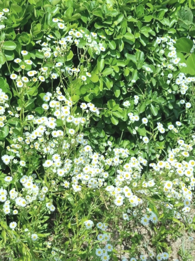 20230627%EF%BC%BF145511.jpg?type=w773