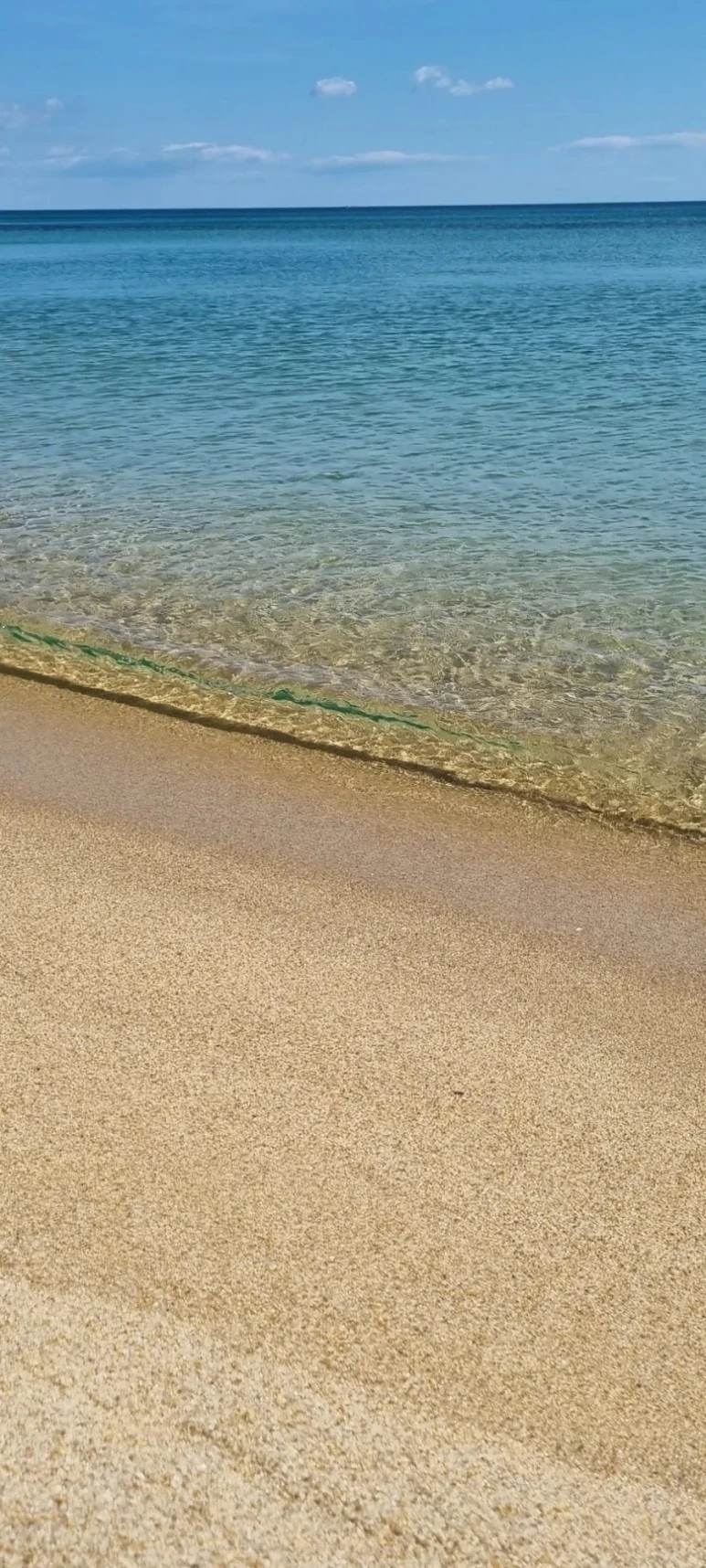 20230627%EF%BC%BF090107.jpg?type=w773