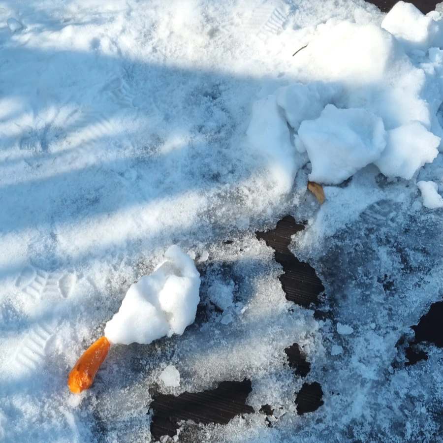 20240101%EF%BC%BF114627.jpg?type=w1