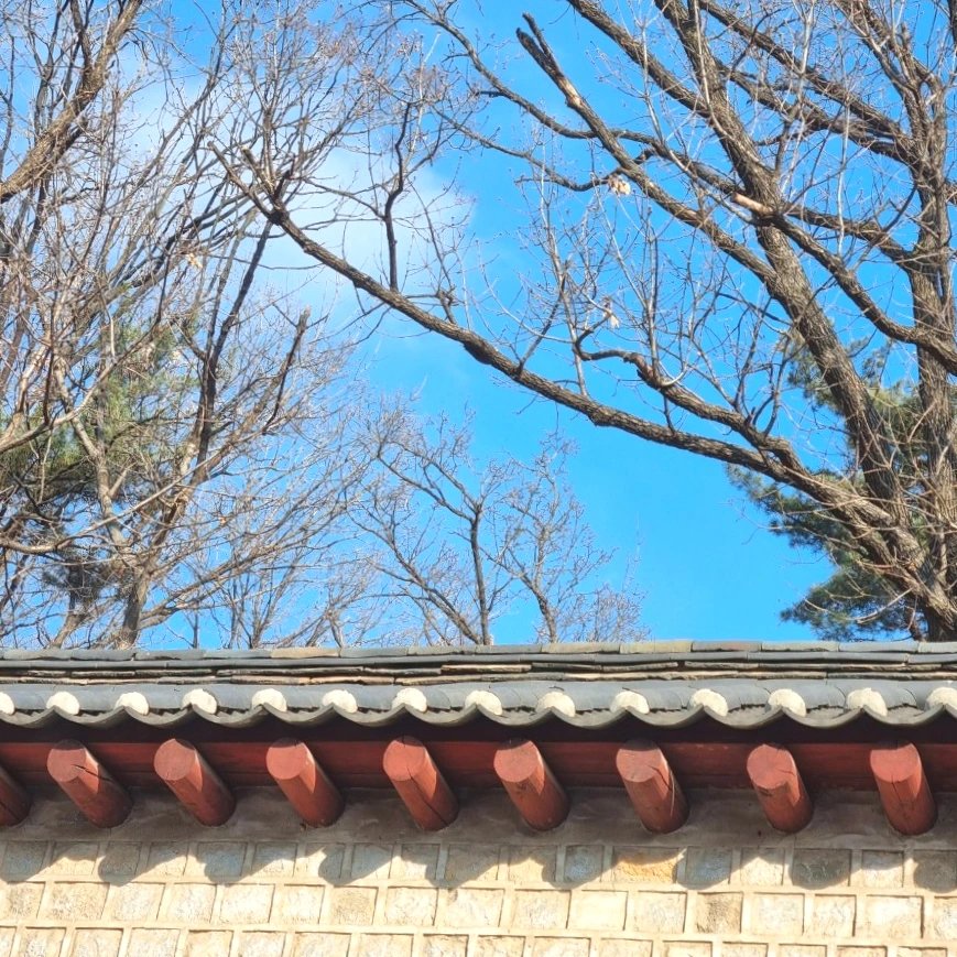 SE-05a12206-86fc-11ed-9be5-695182fa4125.jpg?type=w1