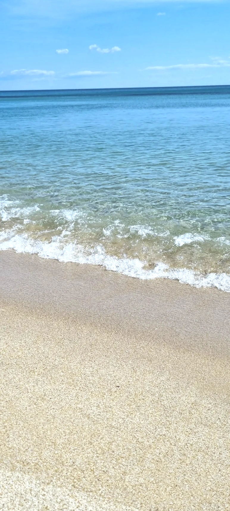 20230627%EF%BC%BF090045.jpg?type=w773