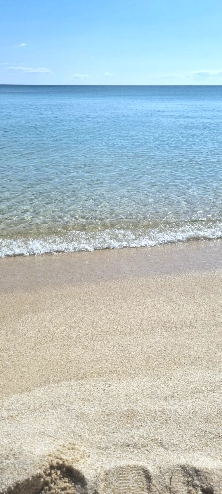 20230627%EF%BC%BF085758.jpg?type=w773